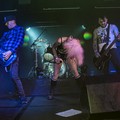 GutterPunk - Professional Concert Photography